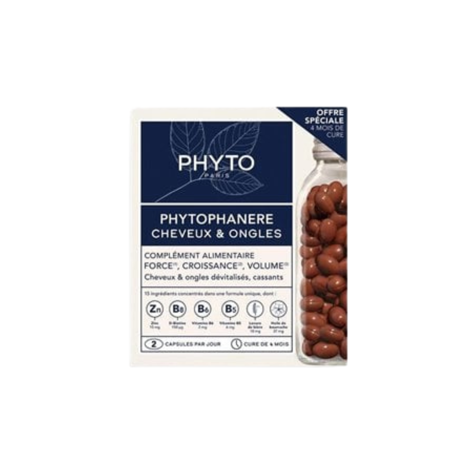 PHYTO